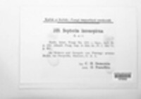 Septoria inconspicua image